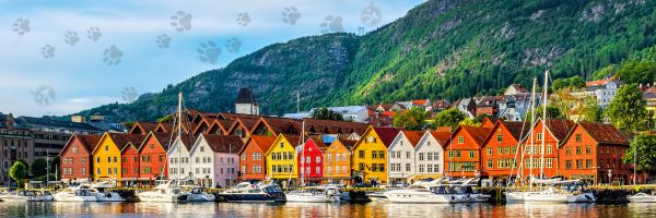 viajando com pet para NORUEGA