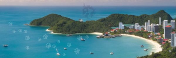 viajando com pet para Trinidad e Tobago